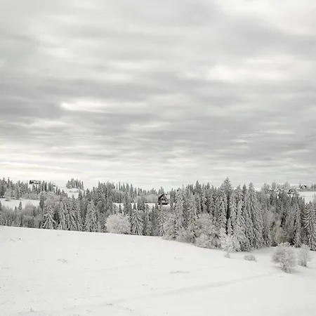 Rusinove Hale Alpstuga Bukowina Tatrzańska